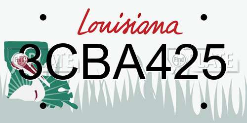 3CBA425 Louisiana License Plate