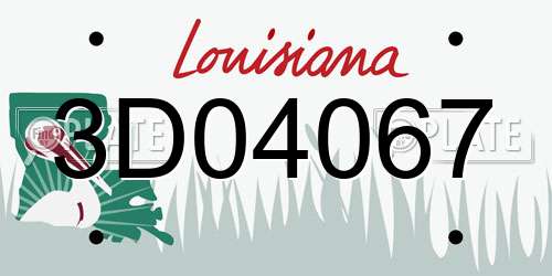 3D04067 Louisiana License Plate