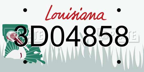 3D04858 Louisiana License Plate
