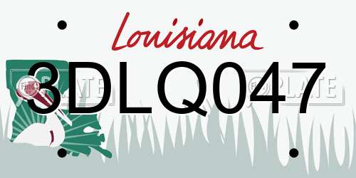 3DLQ047 Louisiana License Plate