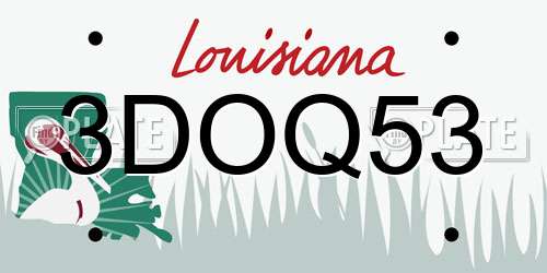 3DOQ53 Louisiana License Plate