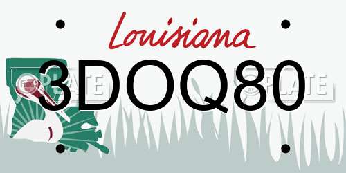 3DOQ80 Louisiana License Plate