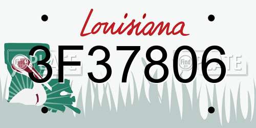 3F37806 Louisiana License Plate