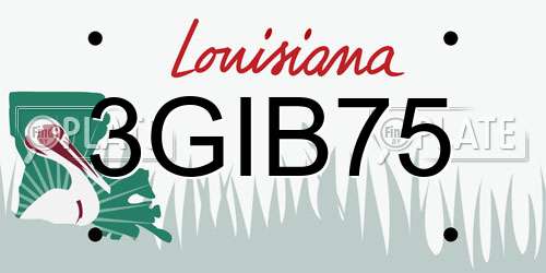 3GIB75 Louisiana License Plate