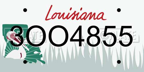 3OO4855 Louisiana License Plate