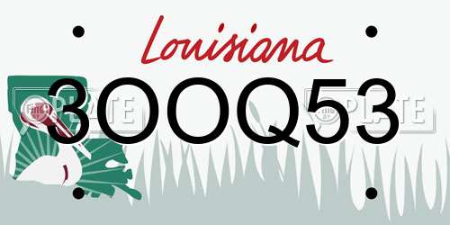 3OOQ53 Louisiana License Plate