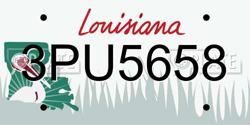 3PU5658 Louisiana License Plate
