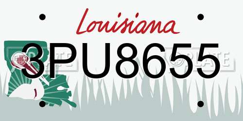 3PU8655 Louisiana License Plate
