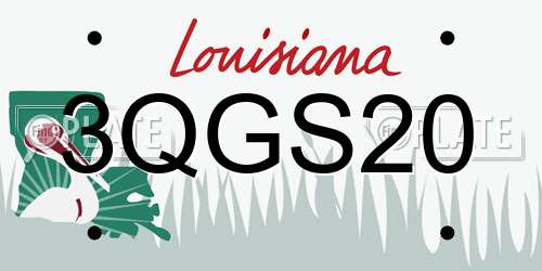 3QGS20 Louisiana License Plate