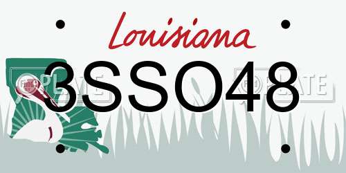 3SSO48 Louisiana License Plate