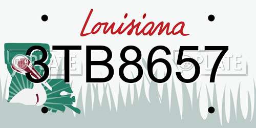 3TB8657 Louisiana License Plate