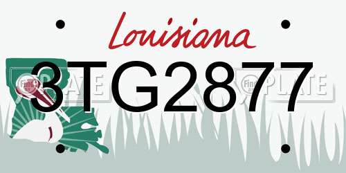 3TG2877 Louisiana License Plate