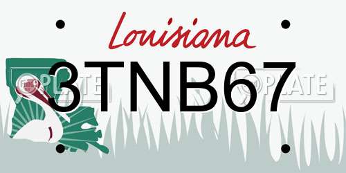 3TNB67 Louisiana License Plate