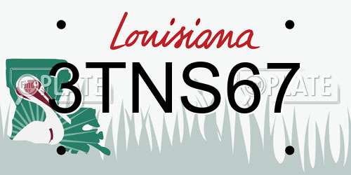 3TNS67 Louisiana License Plate