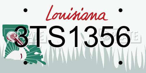 3TS1356 Louisiana License Plate
