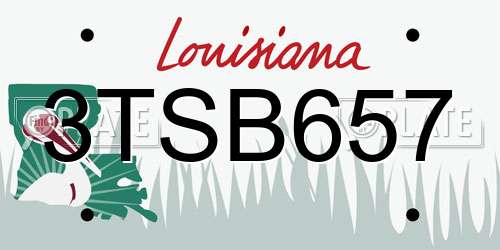 3TSB657 Louisiana License Plate
