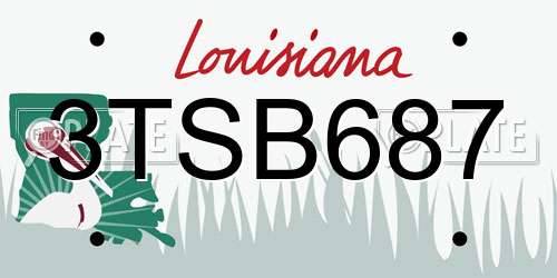 3TSB687 Louisiana License Plate