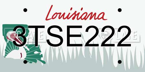 3TSE222 Louisiana License Plate