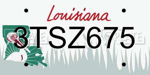 3TSZ675 Louisiana License Plate