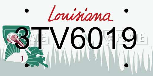 3TV6019 Louisiana License Plate