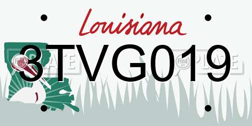 3TVG019 Louisiana License Plate
