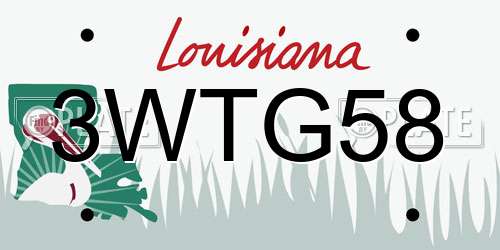 3WTG58 Louisiana License Plate