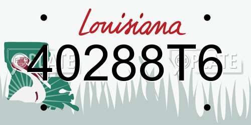 40288T6 Louisiana License Plate