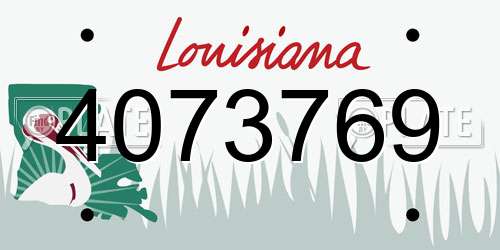 4073769 Louisiana License Plate