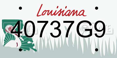 40737G9 Louisiana License Plate