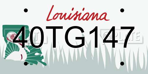 40TG147 Louisiana License Plate