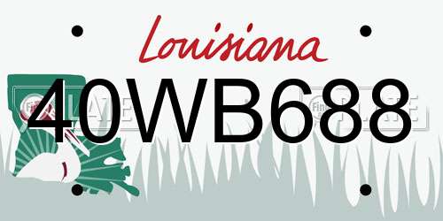 40WB688 Louisiana License Plate