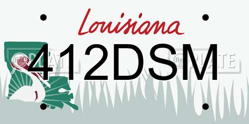 412DSM Louisiana License Plate