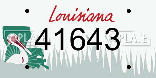 41643 Louisiana License Plate