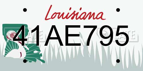 41AE795 Louisiana License Plate