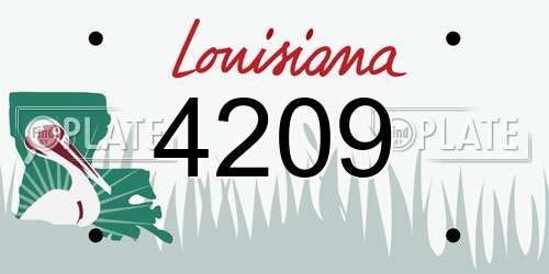 4209 Louisiana License Plate