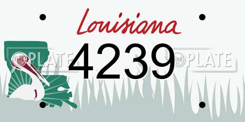 4239 Louisiana License Plate