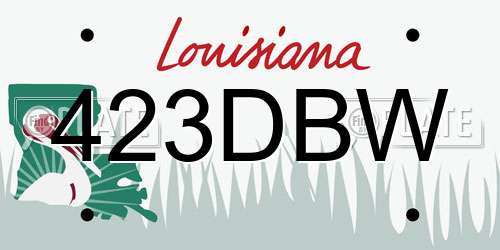 423DBW Louisiana License Plate
