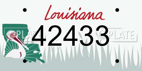42433 Louisiana License Plate