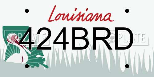 424BRD Louisiana License Plate