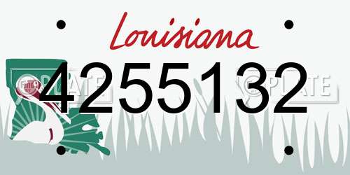 4255132 Louisiana License Plate