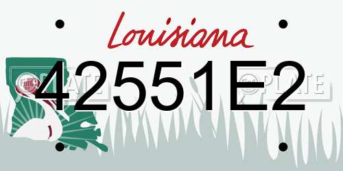 42551E2 Louisiana License Plate