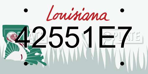 42551E7 Louisiana License Plate