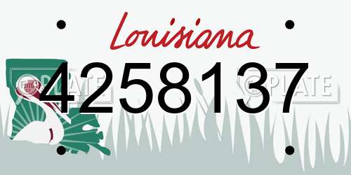 4258137 Louisiana License Plate