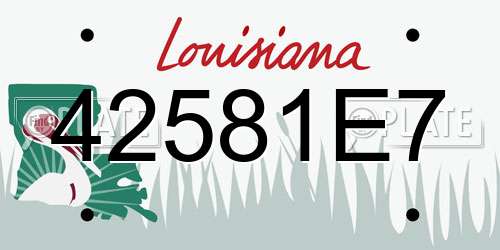 42581E7 Louisiana License Plate