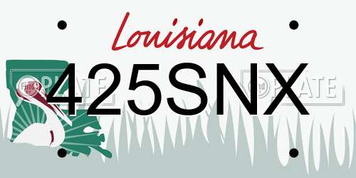 425SNX Louisiana License Plate