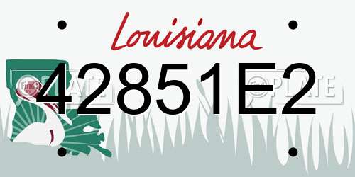 42851E2 Louisiana License Plate