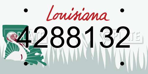 4288132 Louisiana License Plate