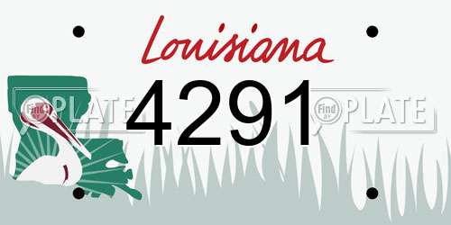 4291 Louisiana License Plate