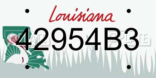 42954B3 Louisiana License Plate