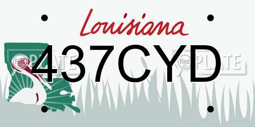 437CYD Louisiana License Plate